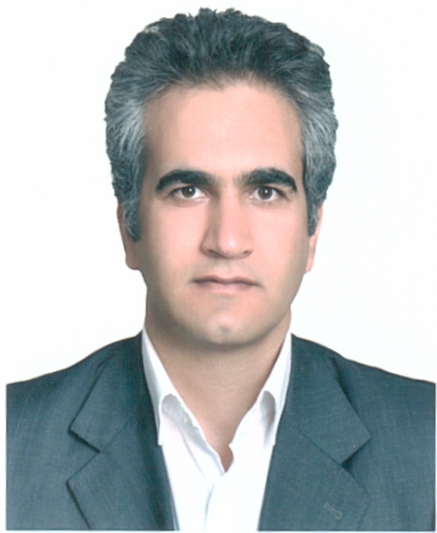 Mohammad Hossein Mirjalili